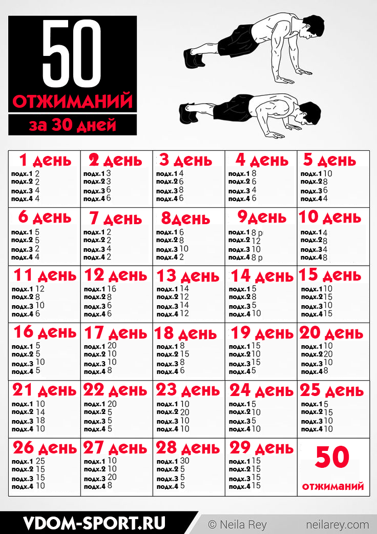 Отжимания план на 30 дней