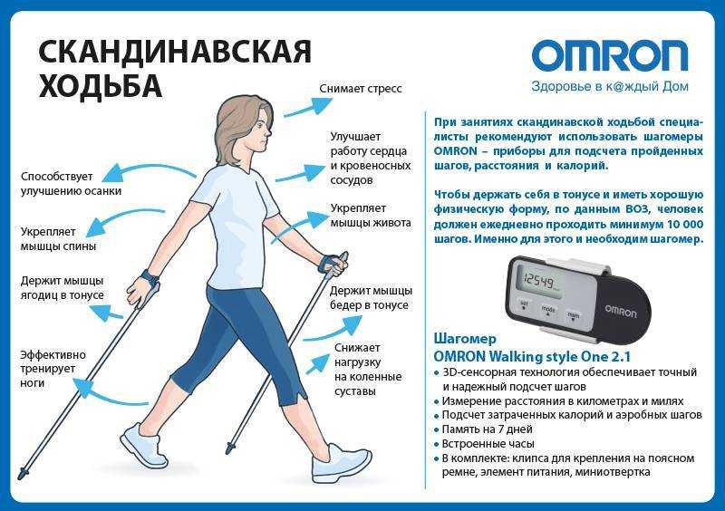 7 лучших фирм палок для скандинавской ходьбы – рейтинг 2020