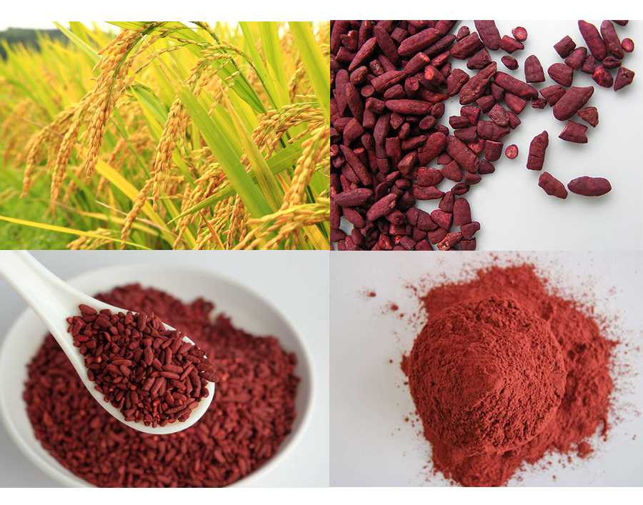 Экстракт красного риса. Monascus purpureus. Красный дрожжевой рис рис ферментированный. Ферментированный бурый рис красный. Ферментированный красный рис порошок.