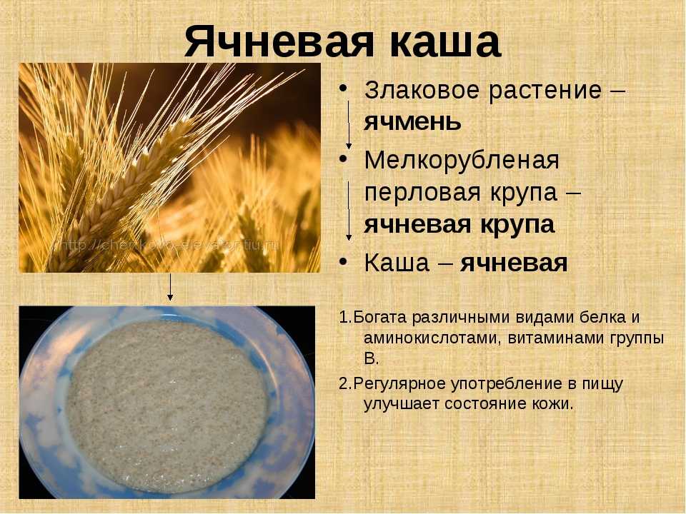 Нутриенты — что это такое? классификация, примеры — и как рассчитать
