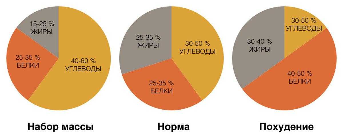 Количество белков жиров и углеводов в запеканке