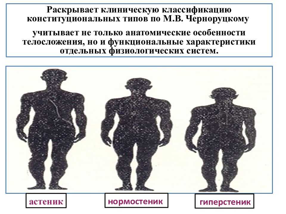 Нормостенический тип телосложения