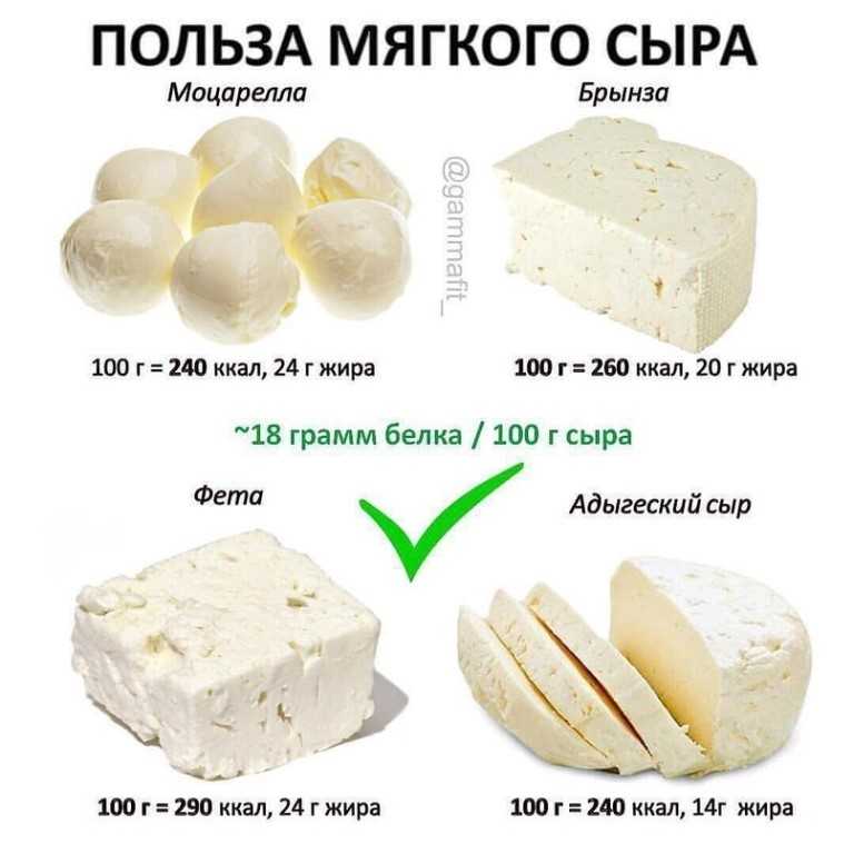 Сыр пармезан польза и вред