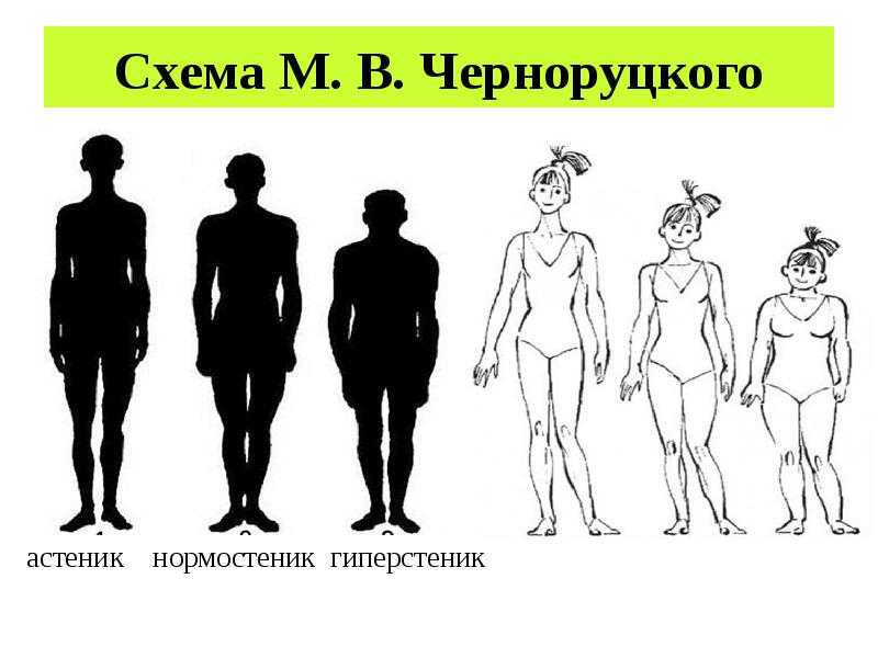Нормостеник это (тип телосложения)