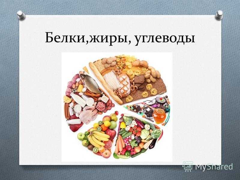 Белок в продуктах: роль в рационе, нормы употребления, меню на день от фитнес-тренера