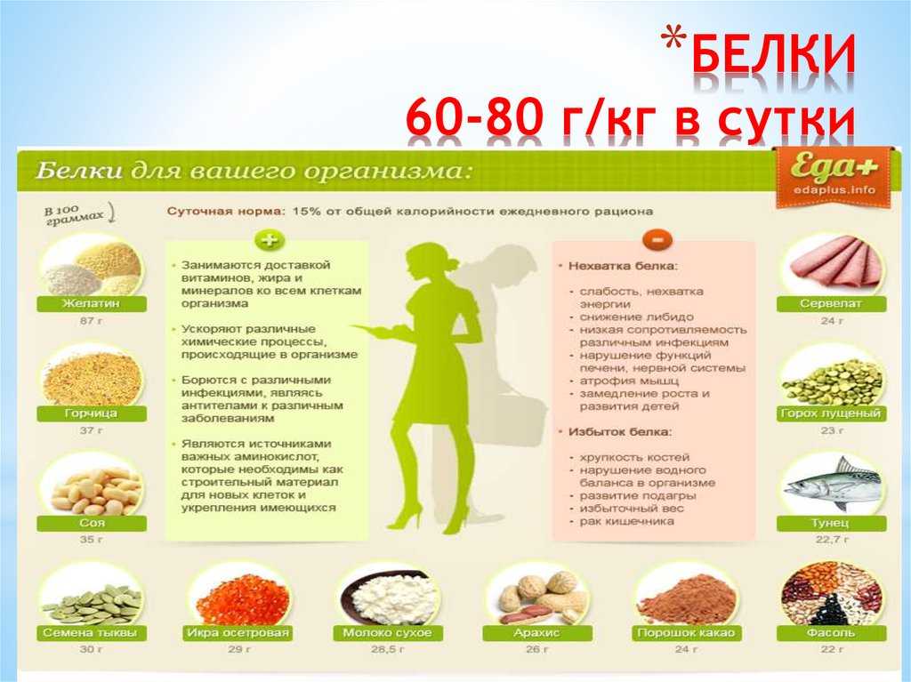 В каких продуктах содержится белок - подробный список и белковое меню на неделю | нутрициолог