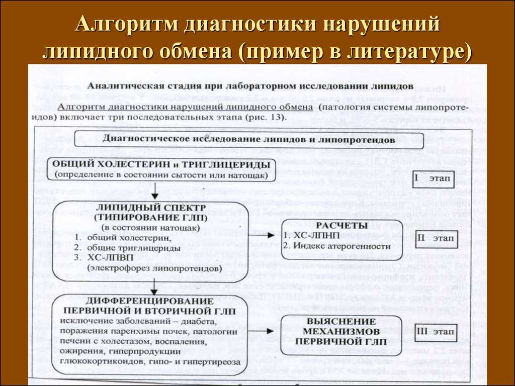 Эффективное снижение жировой массы за четыре дня упражнений и ограничения калорийности питания