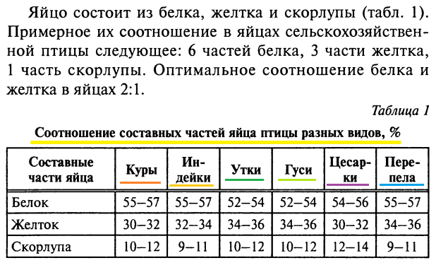 Яичный белок: калорийность, энергетическая ценность