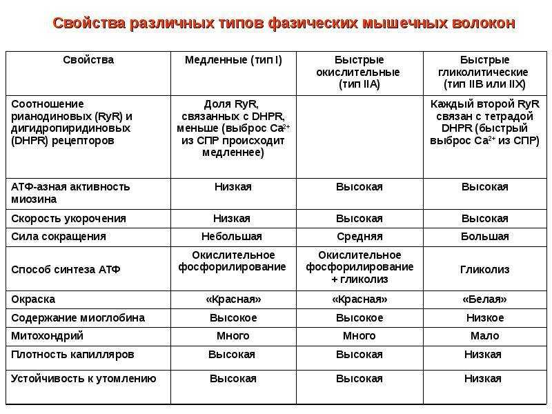 Сколько белка требуется человеку в сутки?