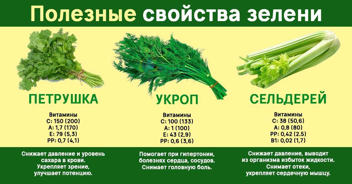 Польза и вред сельдерея во время беременности. варианты употребления