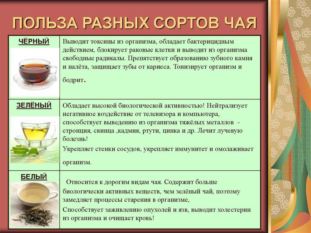 Польза и вред чая презентация