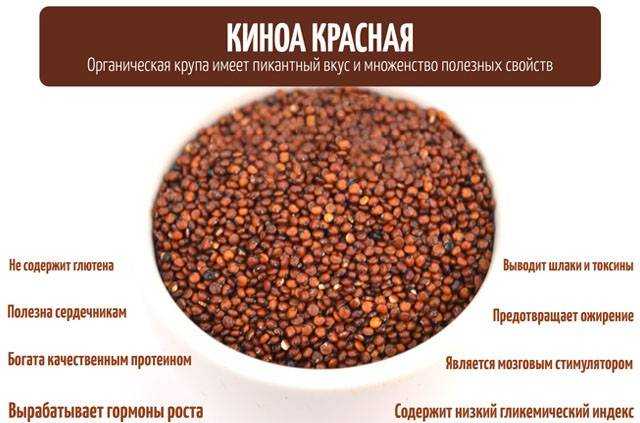 Крупа киноа: ее калорийность, польза, гликемический индекс