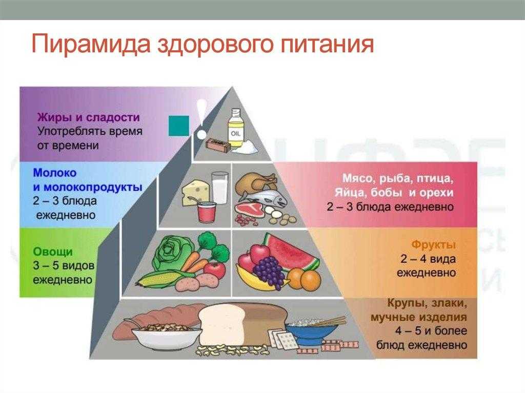Принципы рационального питания: идеальный вес и здоровый рацион. правила питания при ожирении.