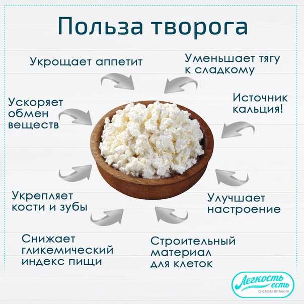 Козий творог – состав, польза и вред
