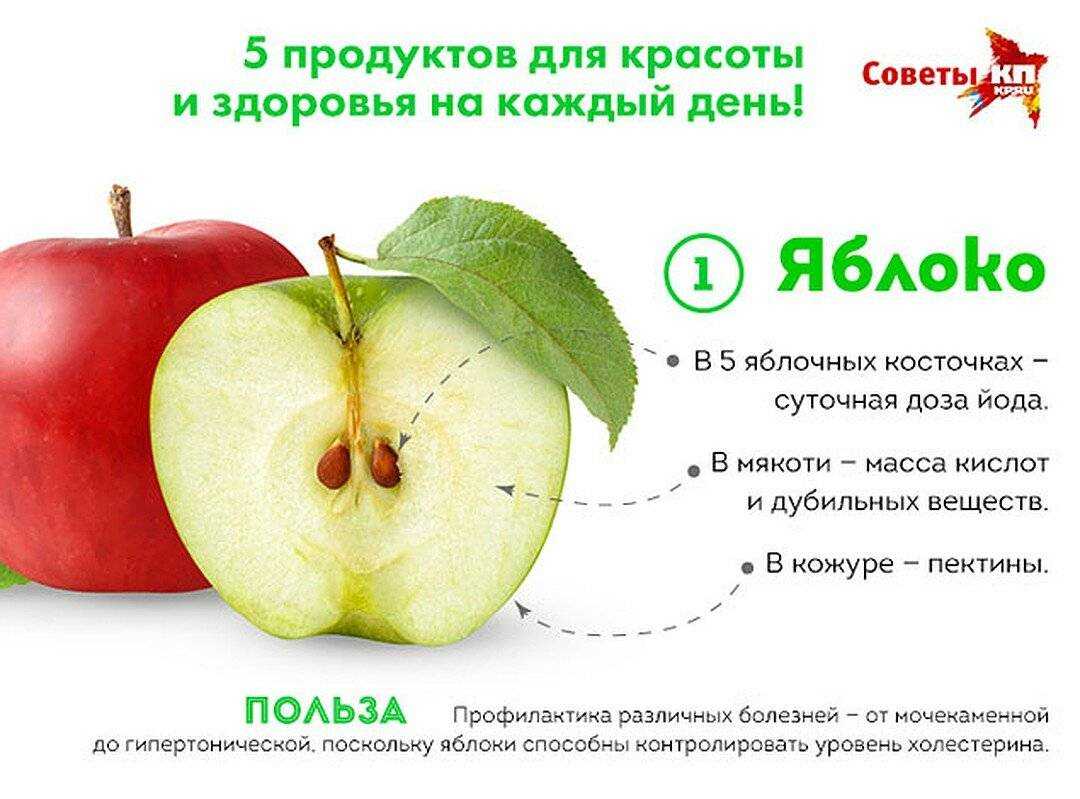 Яблоко – полезные свойства, состав и противопоказания