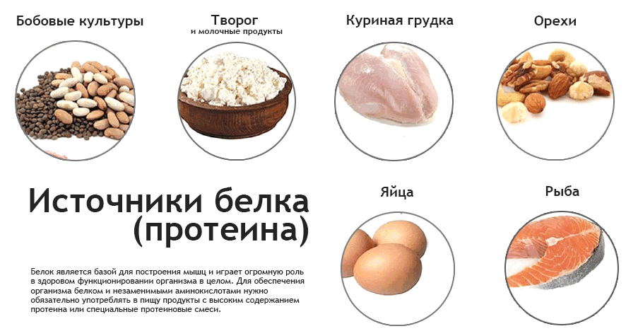 Для чего и зачем нужен протеин и что это такое » спортивный мурманск