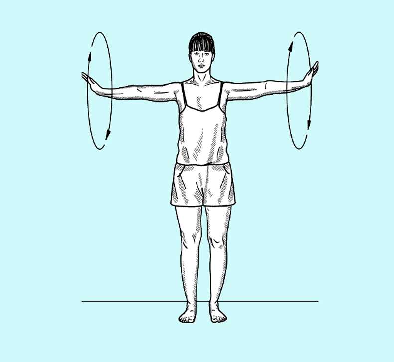 Упражнения на спину в зале — программа тренировок со штангой и гантелями
