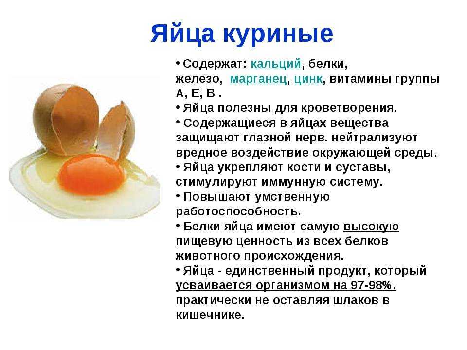 Яичный желток содержание полезных веществ, польза и вред, свойства