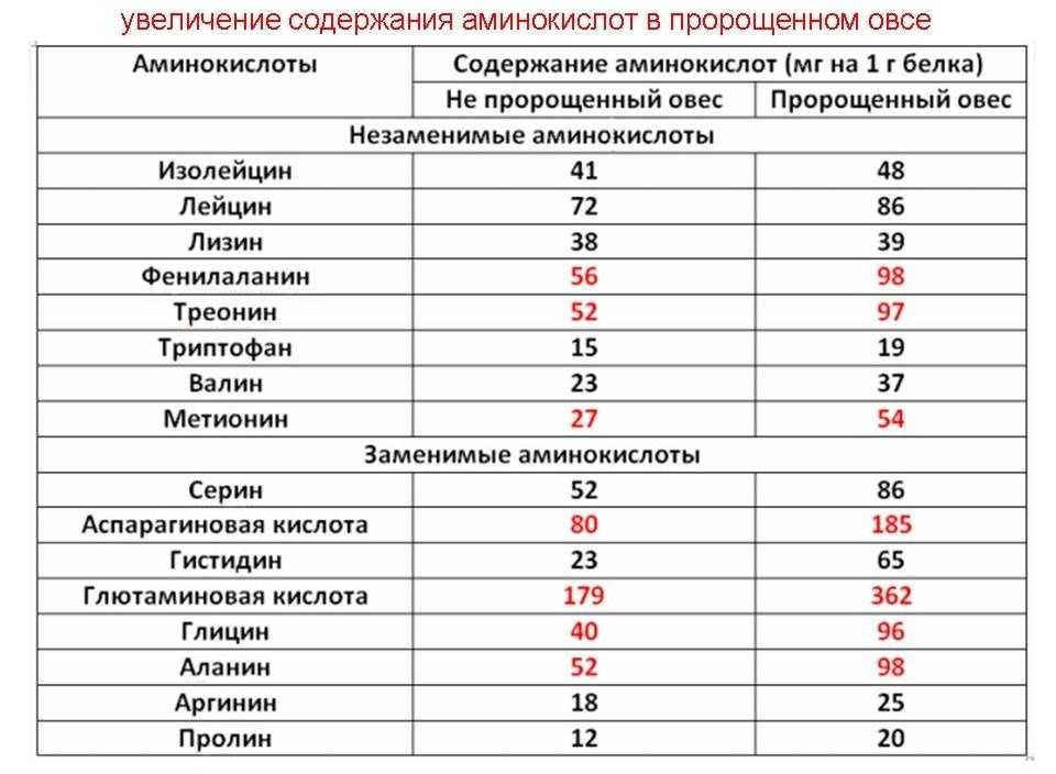 Заменимые и незаменимые аминокислоты в продуктах питания: таблица, список