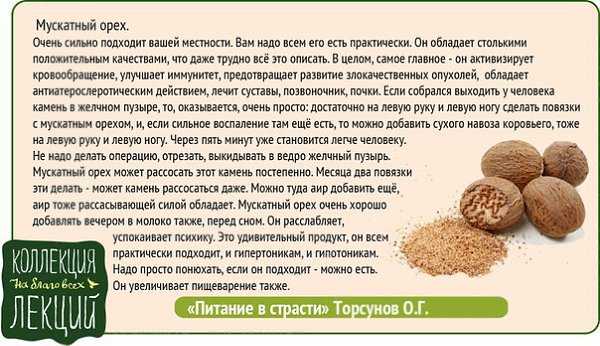 Сколько орехов можно съедать в день: какие полезны при похудении и лучше для диеты, а также фото порции в штуках с калорийностью