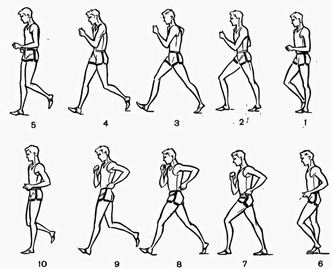 Спортивная ходьба: техника и польза, как правильно ходить для похудения