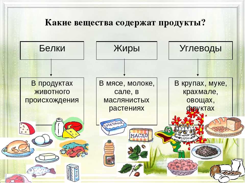 Картинки белки жиры углеводы клетчатка