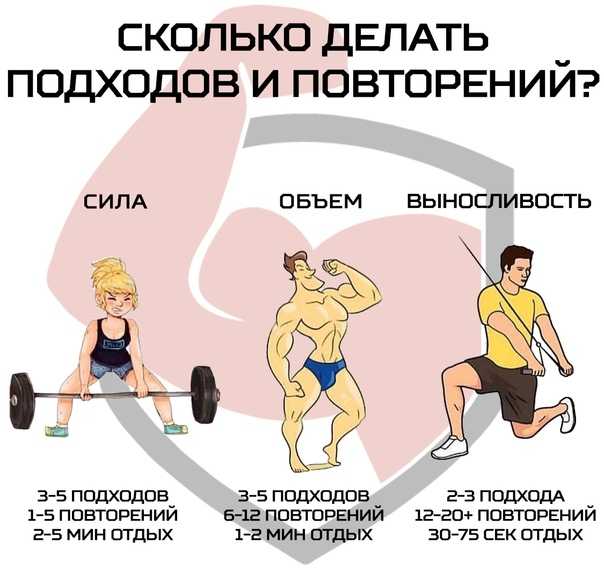 Базовая программа тренировок на массу для мужчин и девушек