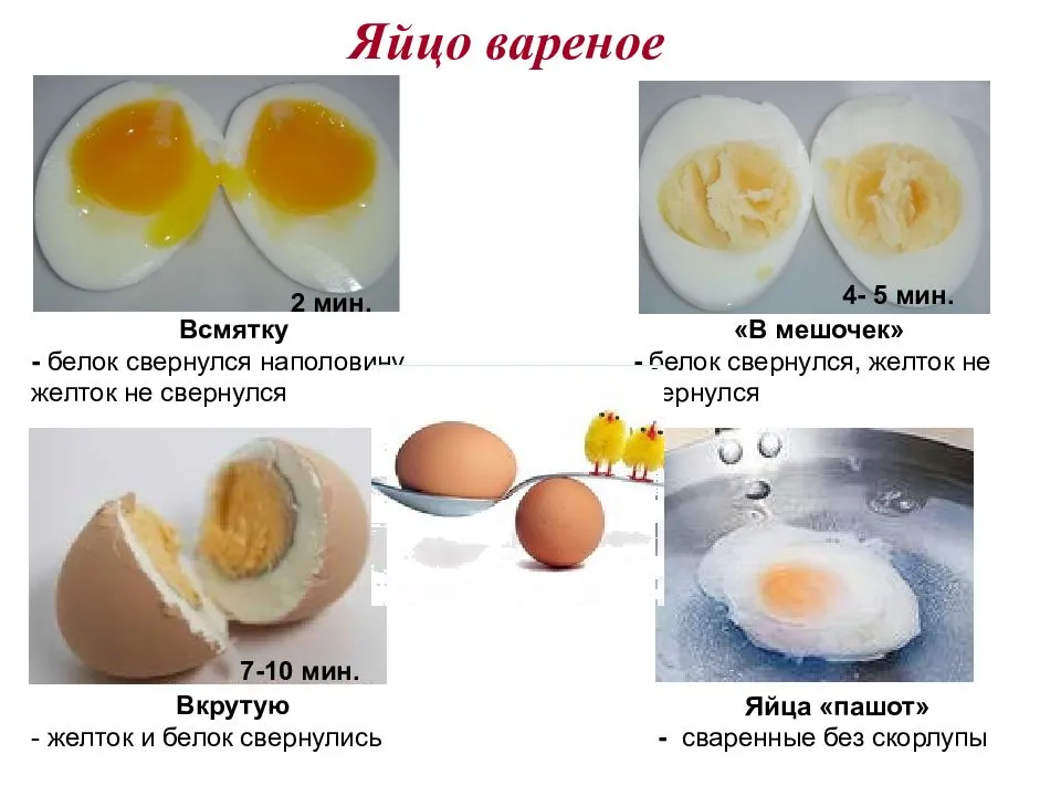 Химический состав яйца и пищевая ценность, строение куриных яиц