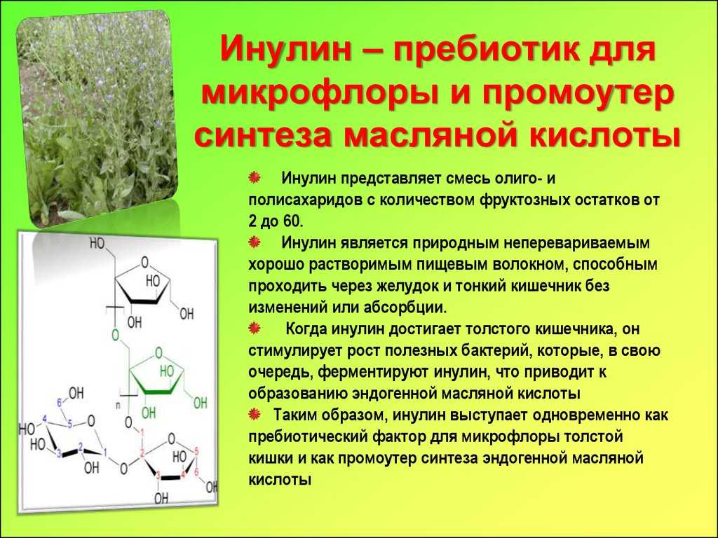 Какие отруби лучше: обзор различных видов от корпорации di&di