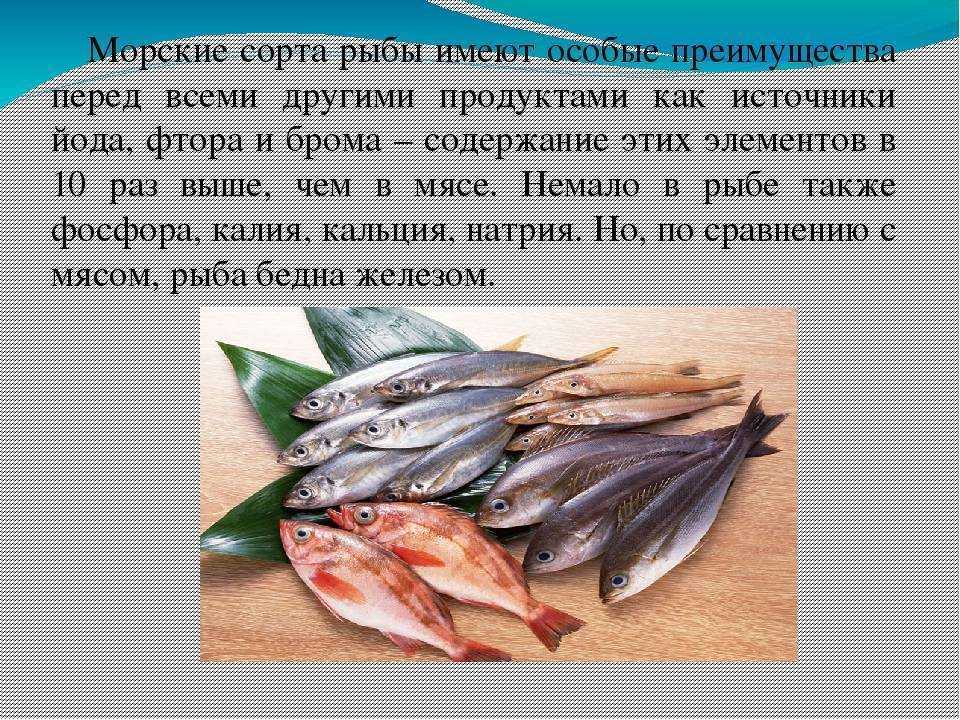 О пользе рыбы картинки