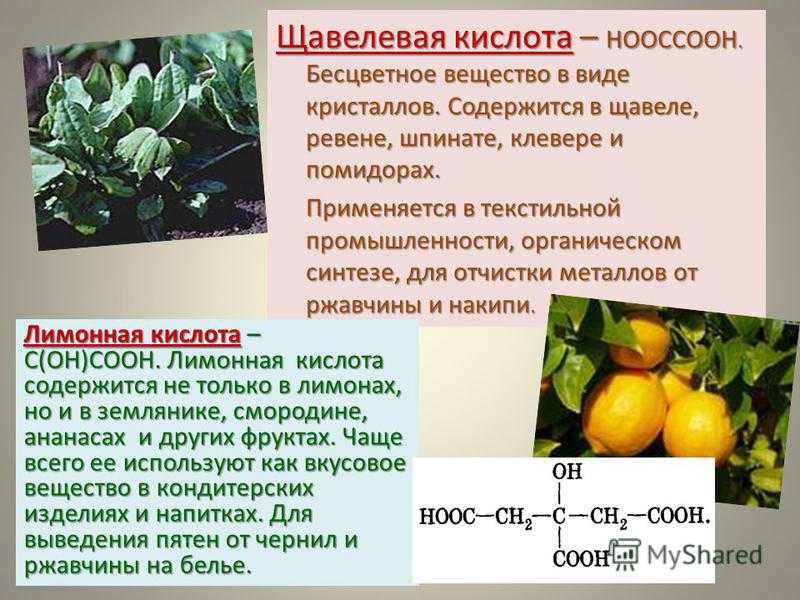 Антиоксиданты, витамины и микроэлементы. самый полный гид по полезным свойствам шалфея — статья на тчк