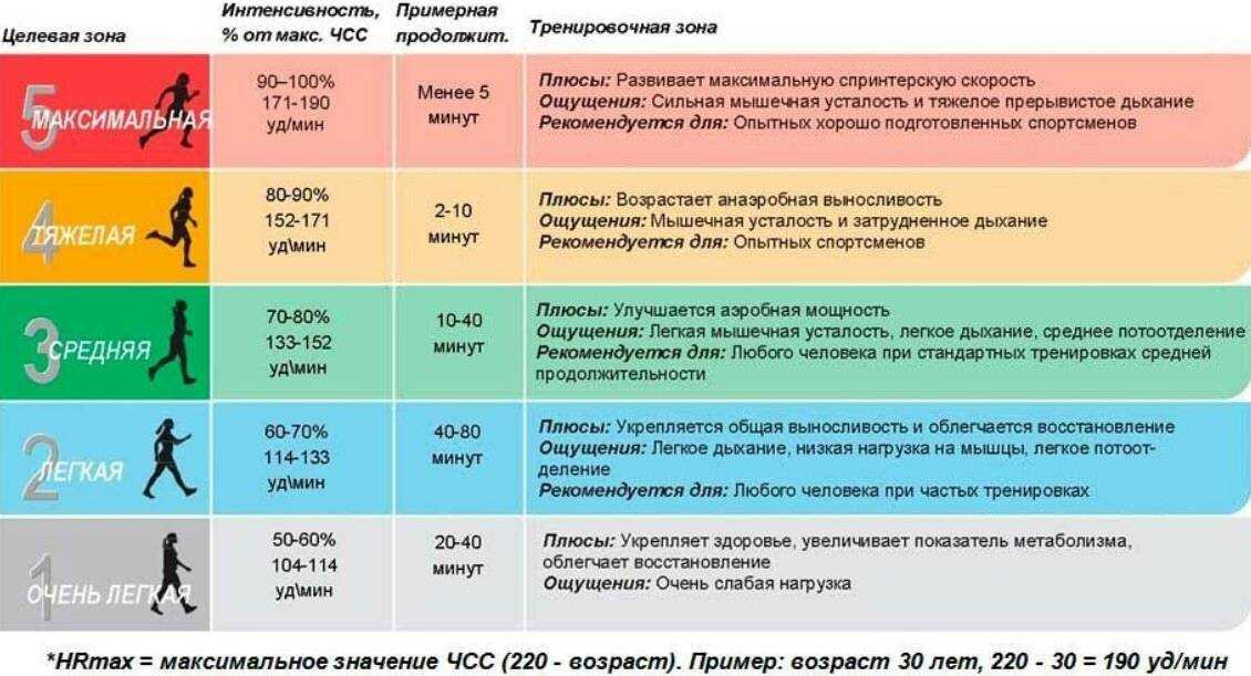 Какие мышцы работают и качаются при беге, как они задействованы - ответы от fitnessera.ru