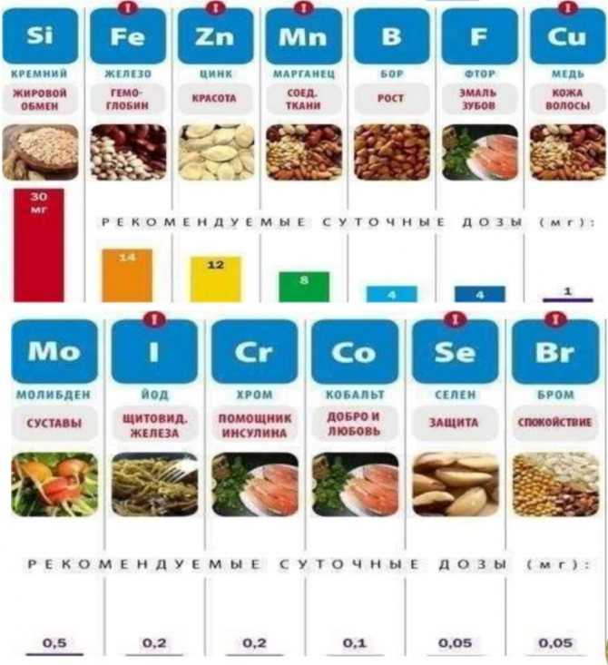 Критически значимые продукты. Минеральные вещества как микронутриенты. Нутриенты в продуктах. Нутриенты макро- и микронутриенты продуктов питания. Микронутриенты и их источники.