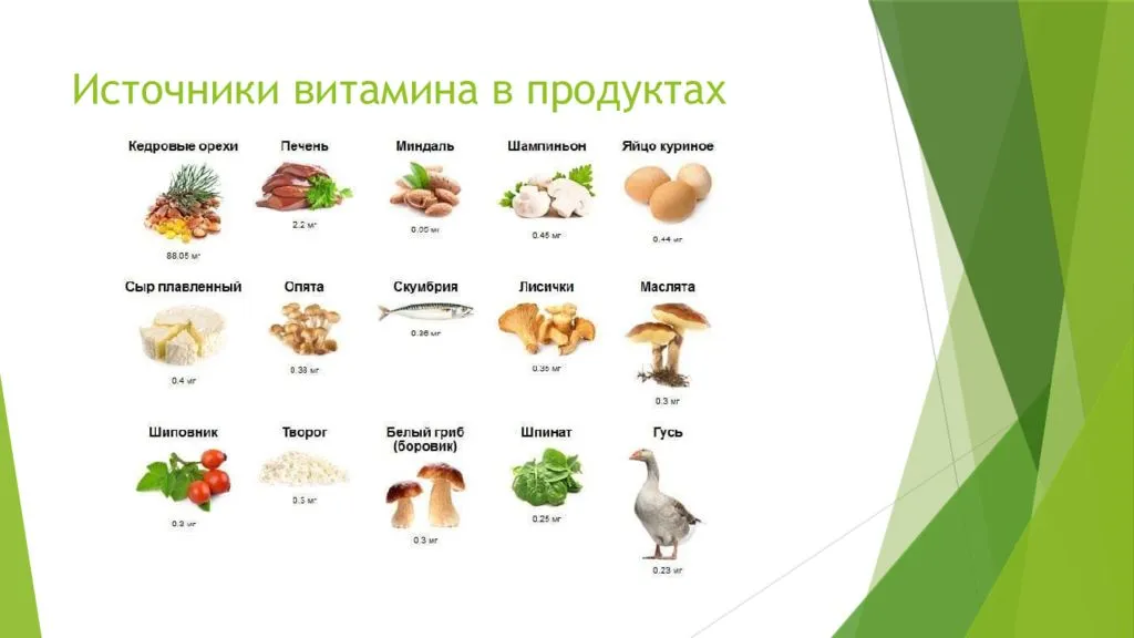 Говядина — какие витамины содержит