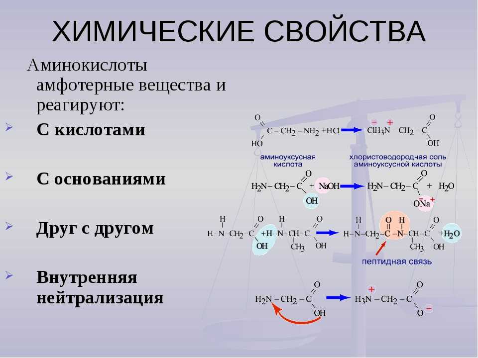 Аминокислоты химические соединения