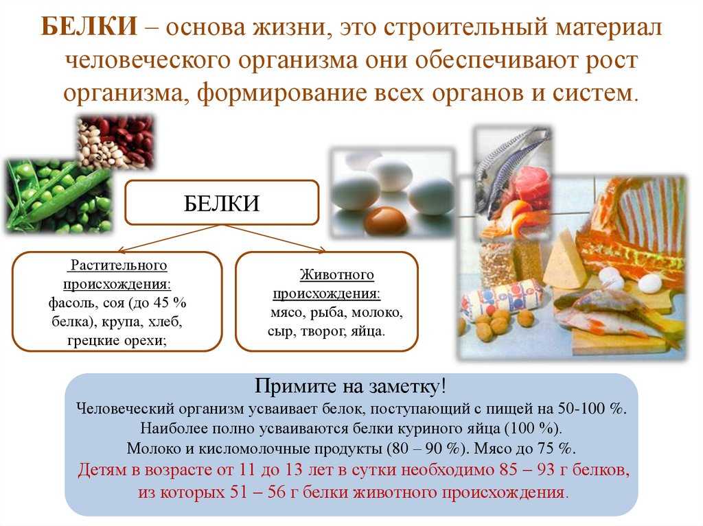 Как набрать белок в рационе, если надоела куриная грудка. рассчитайте свой белковый коэффициент – читайте на tea.ru