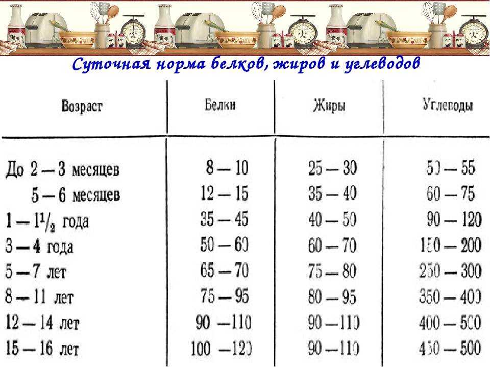 Сколько белка можно есть за один раз? миф про 30 грамм