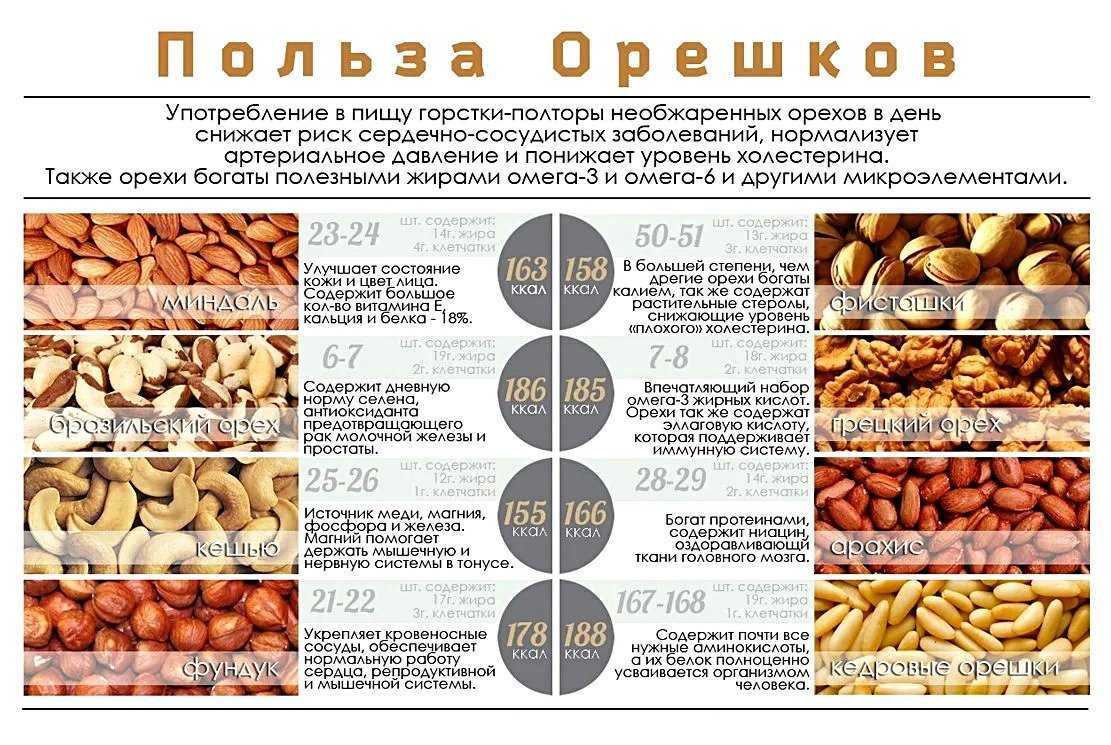 Какие орехи можно есть при похудении и как они влияют на вес?