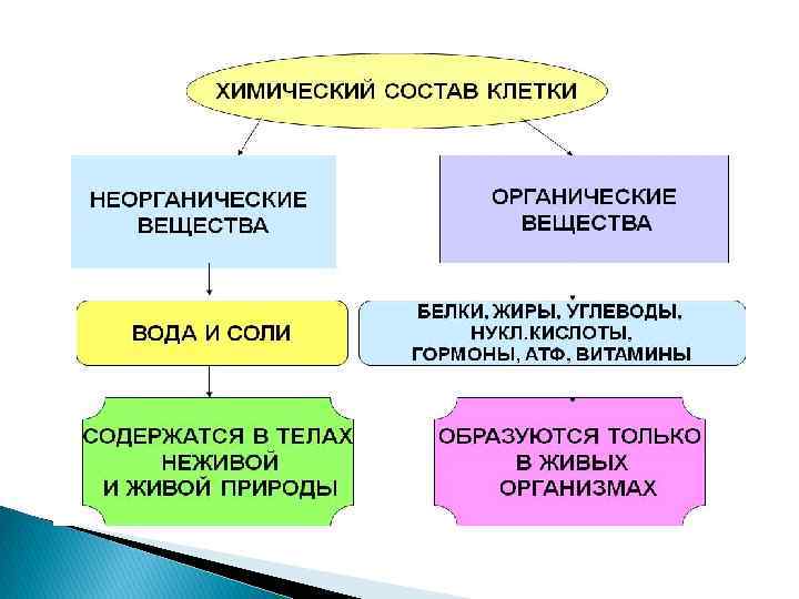Белки, жиры и углеводы