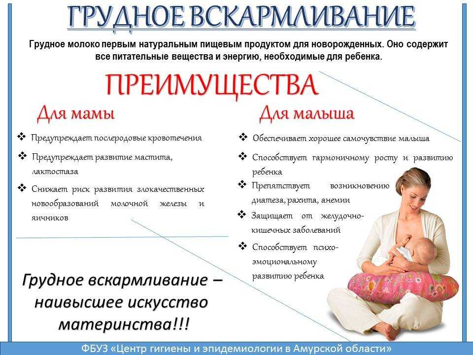 Мифы и правда о грудном молоке %sep% +мама