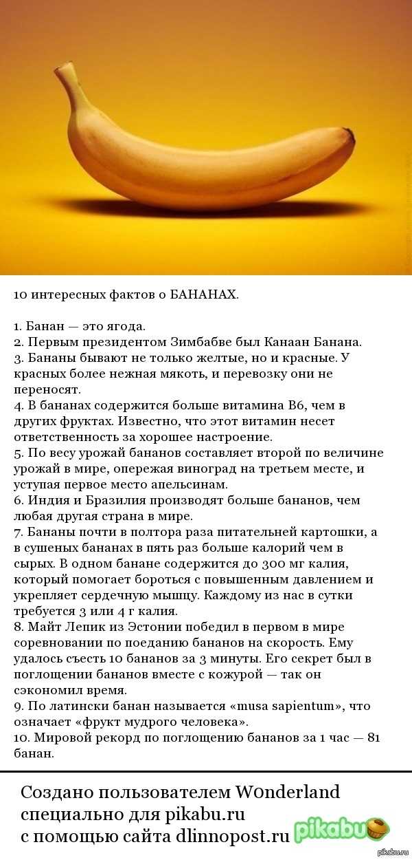 Можно ли есть банан на ночь — рецепты, ингредиенты, приготовление, фото, видео