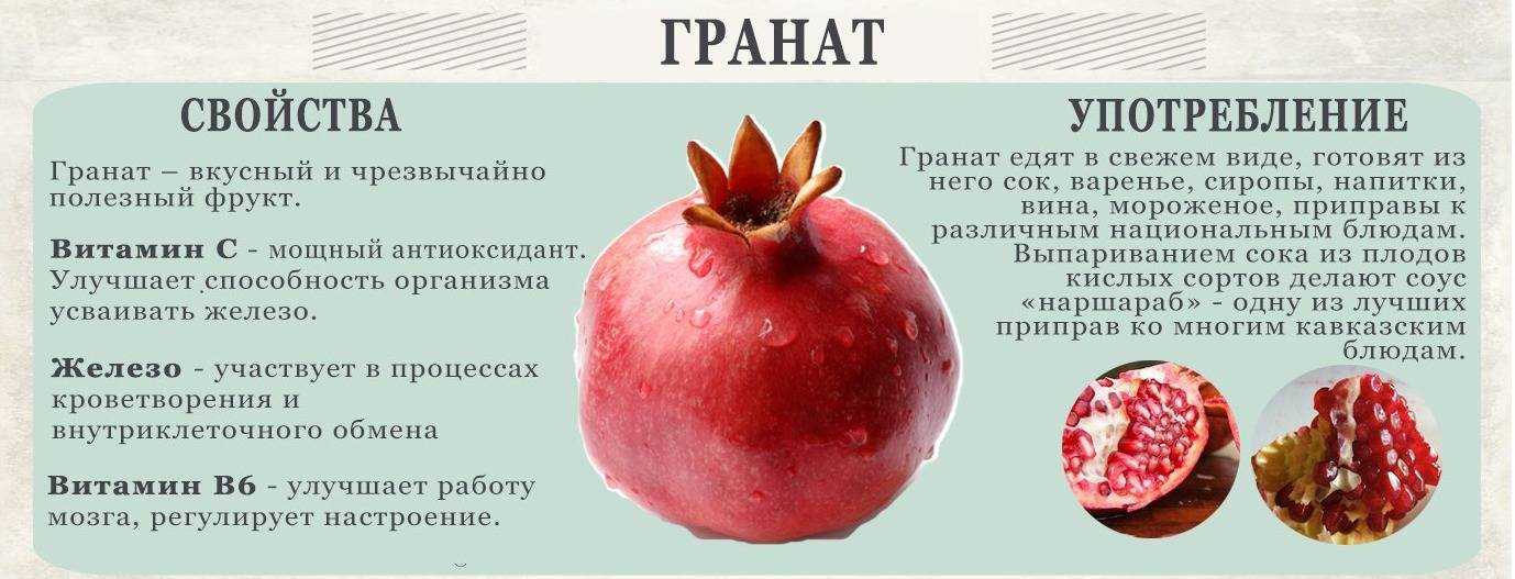 Правильный режим питания: сколько раз в день нужно есть?