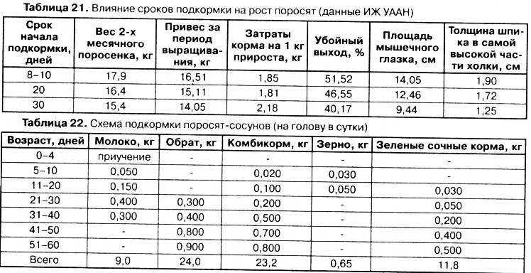 Польза и вред сухого молока, состав и свойства, противопоказания, суточные нормы (в т.ч. для бодибилдинга), рецепты здоровья и красоты + отзывы