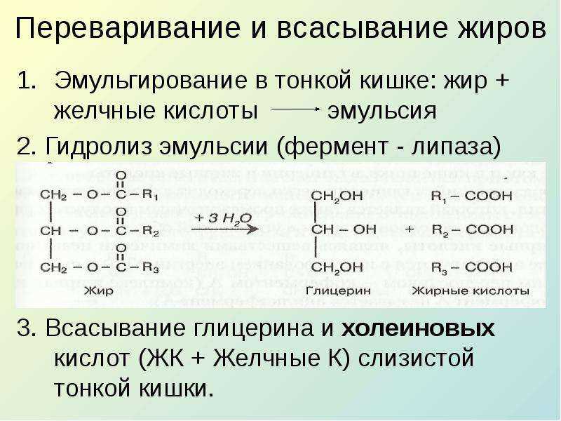 Как мы толстеем?