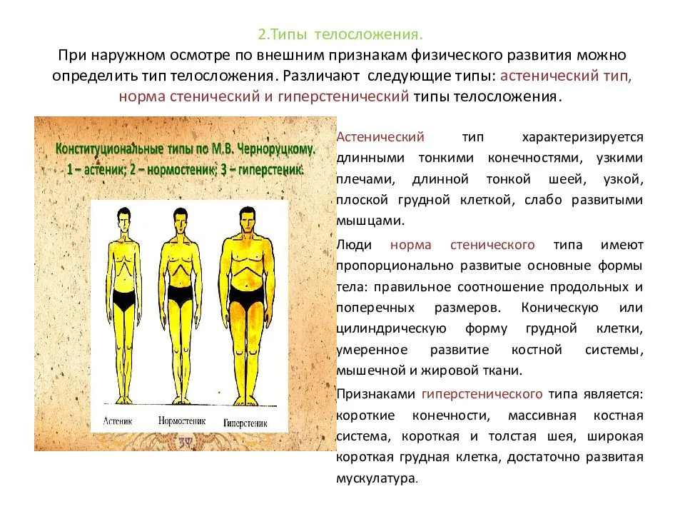 Астеник — это тип личности или телосложения? характеристика астеника