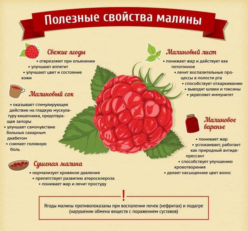 Листья малины полезные свойства