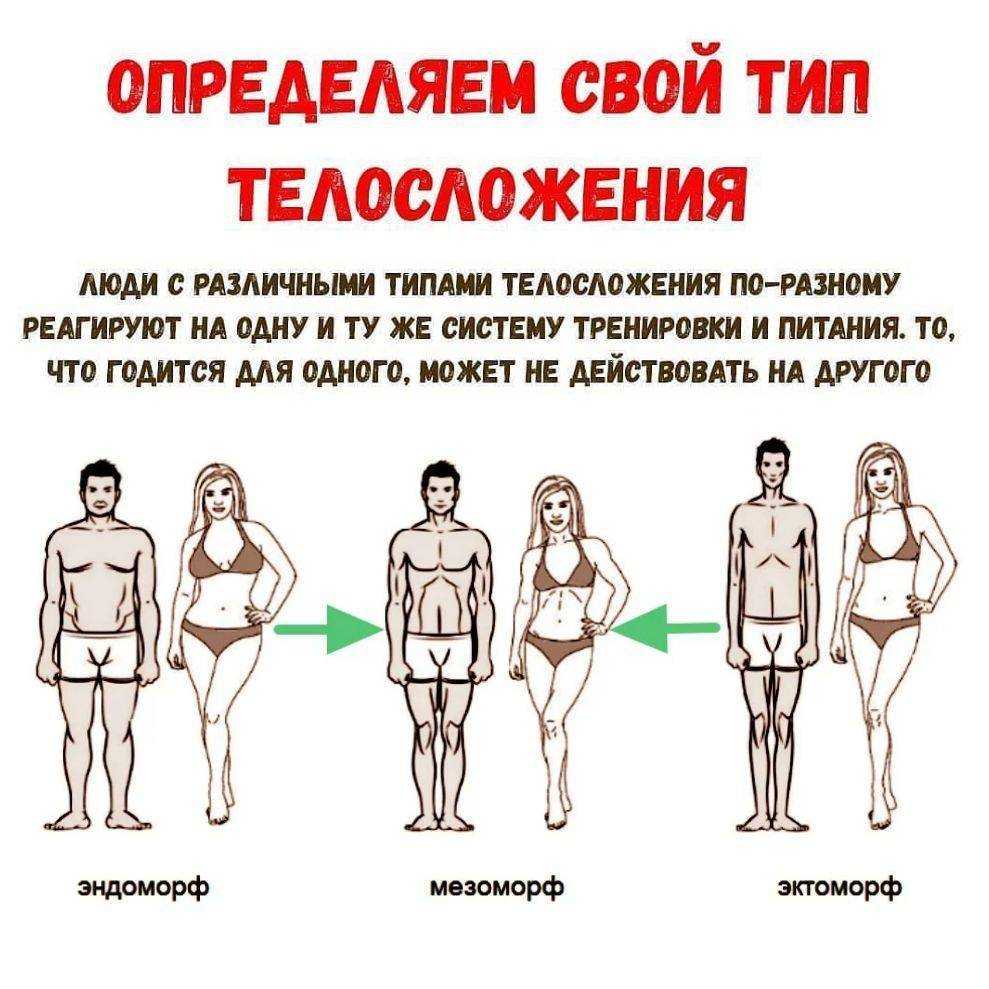 Нормостеническое телосложение у женщин что это фото