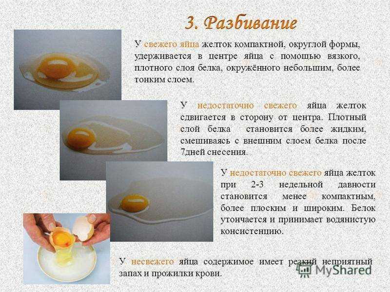 Калорийность 100 граммов яичного желтка
