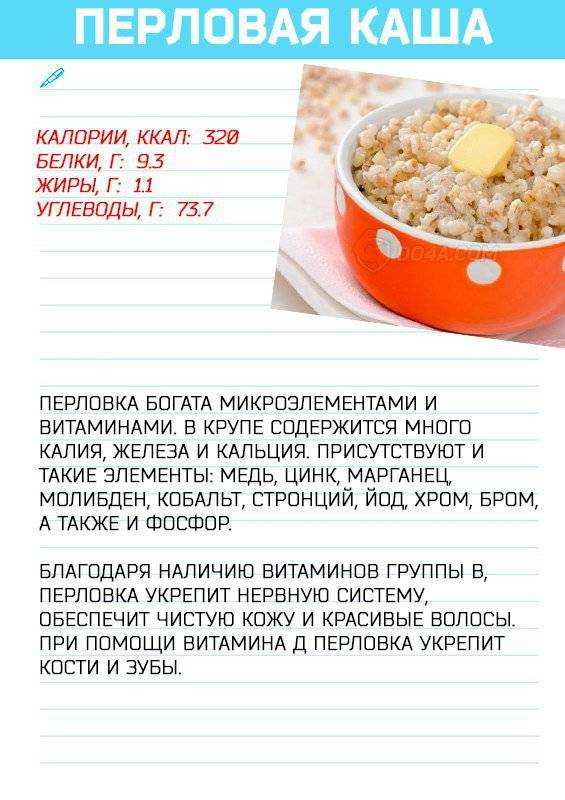 Перловка – состав, польза и вред крупы для организма