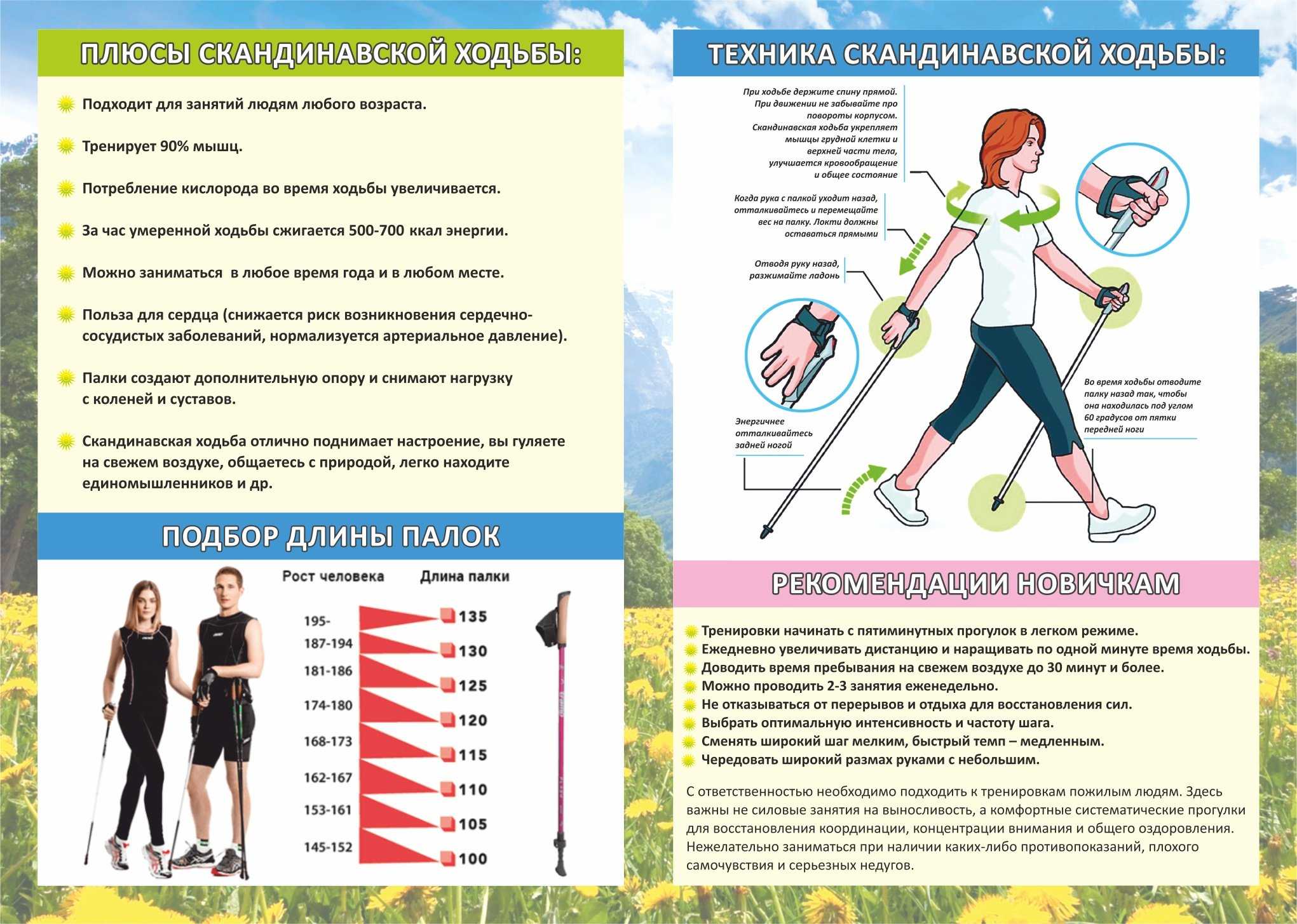 Ходьба или бег - что выбрать для похудения и укрепления мышц